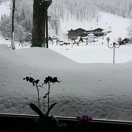 Diana 3* سيريتو لاغي